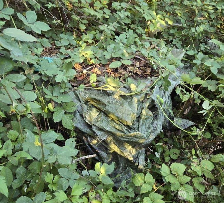 18820 220th Avenue Southeast Maple Valley, WA 98038 - Photo 7 of 16 a backyard of a tree