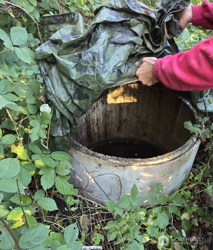 18820 220th Avenue Southeast Maple Valley, WA 98038 - Photo 8 of 16 a view of a sink with a tree