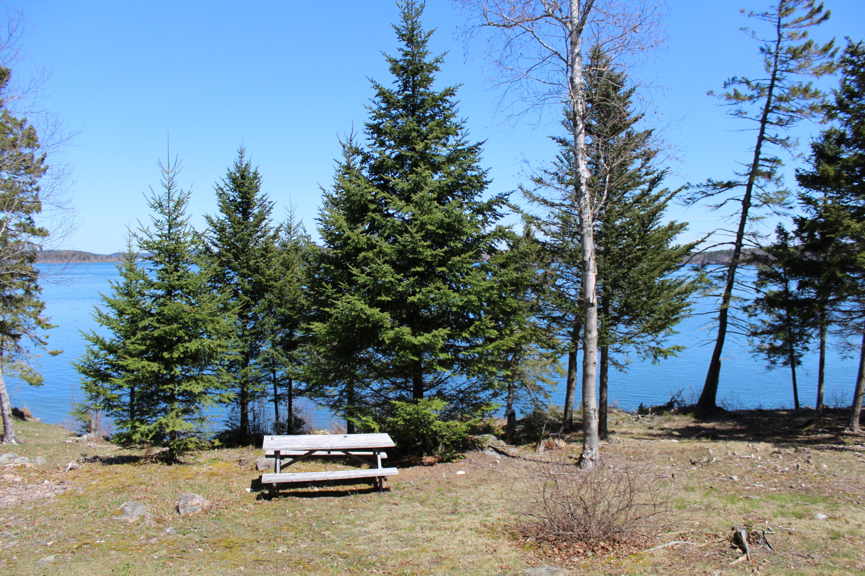 1015 North Lubec Road Lubec, ME 04652 - Photo 10 of 41 IMG_3541