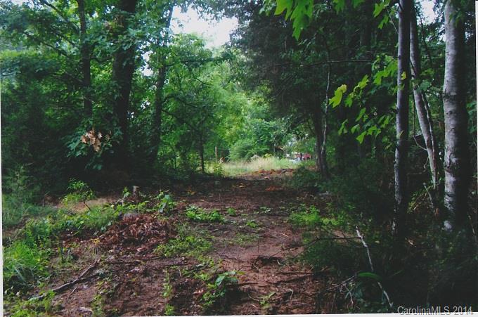 0 Philadelphia Church Road, Unit 3A Dallas, NC 28034 - Photo 3 of 7 Gallery Image 3