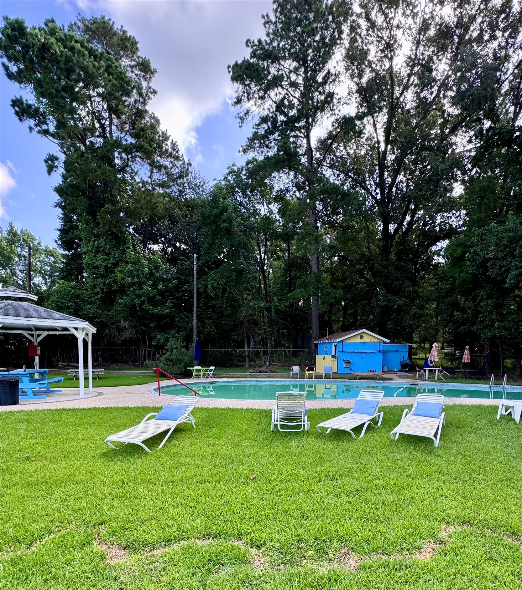 479 County Road Goodrich, TX 77335 - Photo 16 of 16 a view of a swimming pool with a yard
