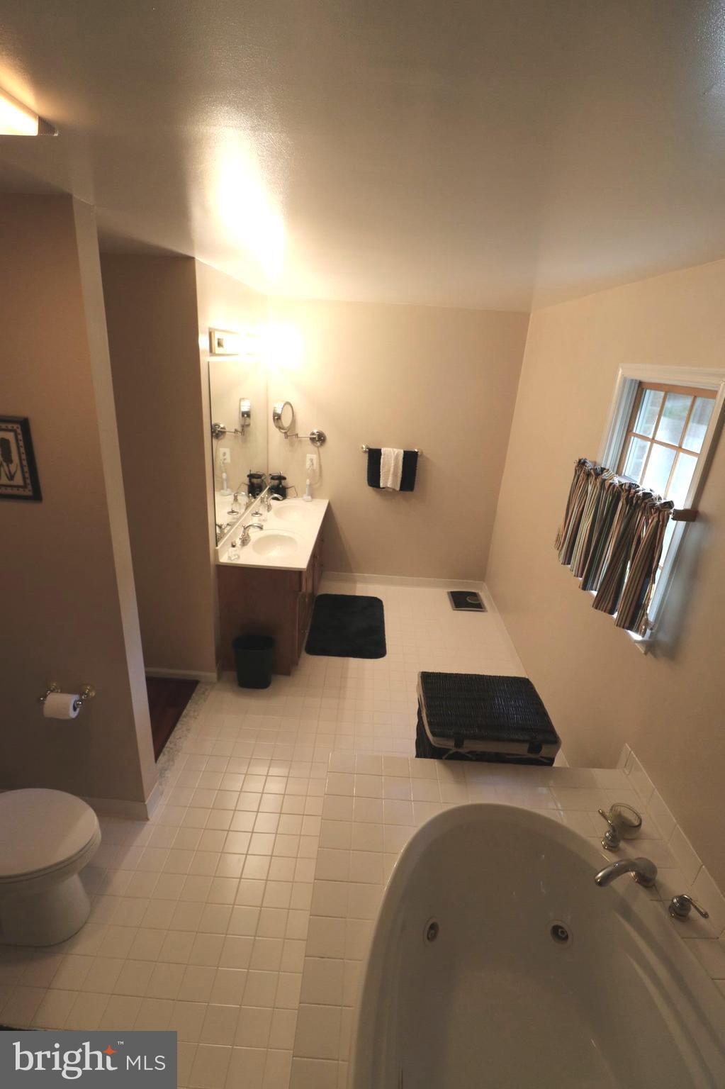 7001 Olinger Road Marshall, VA 20115 - Photo 9 of 22 Bath (Master)