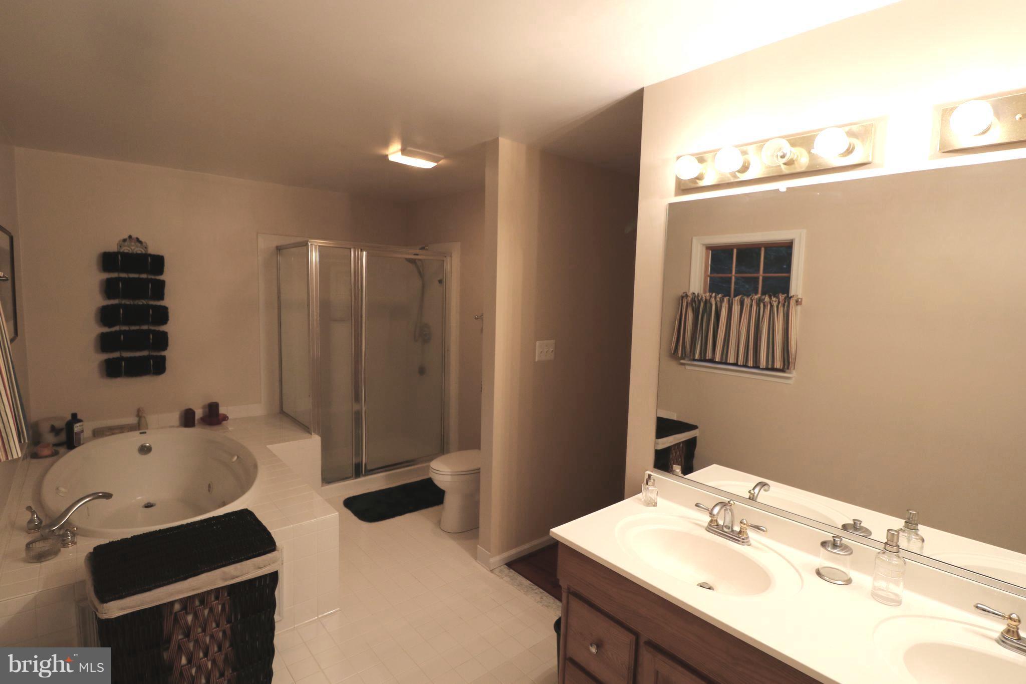 7001 Olinger Road Marshall, VA 20115 - Photo 10 of 22 Bath (Master)