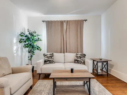 a living room with furniture and a potted plant