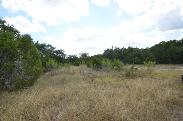 a view of a lush green field