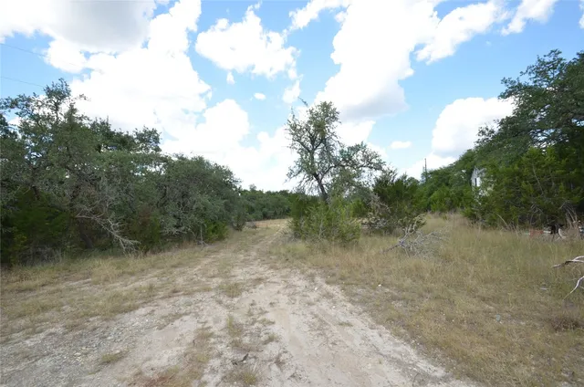 a view of a forest with trees in the background