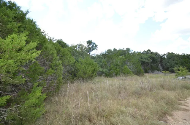a view of a field of grass and trees
