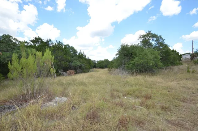 a view of a field of grass and trees