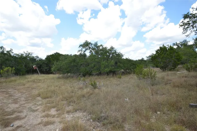 a view of a dry yard with trees