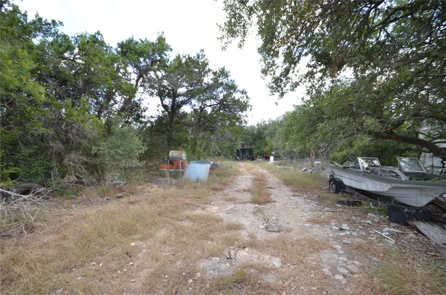 a view of a backyard with trees
