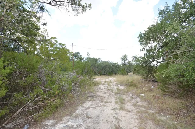 a view of a lake with lots of trees