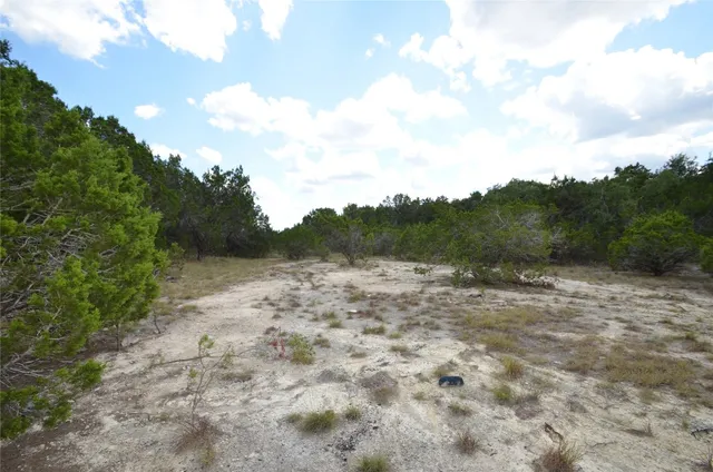 a view of a dry yard with trees