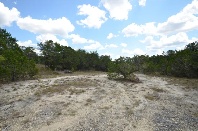 a view of a dry yard with trees
