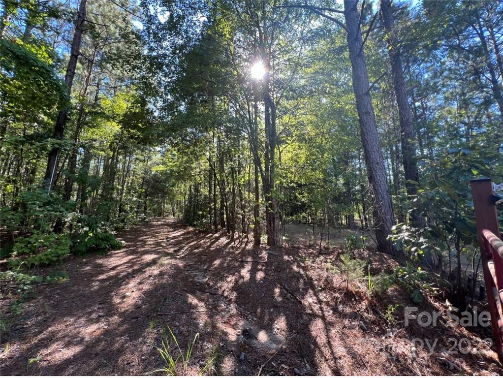1676 Madison Road Chester, SC 29706 - Photo 3 of 5 a view of a forest with trees