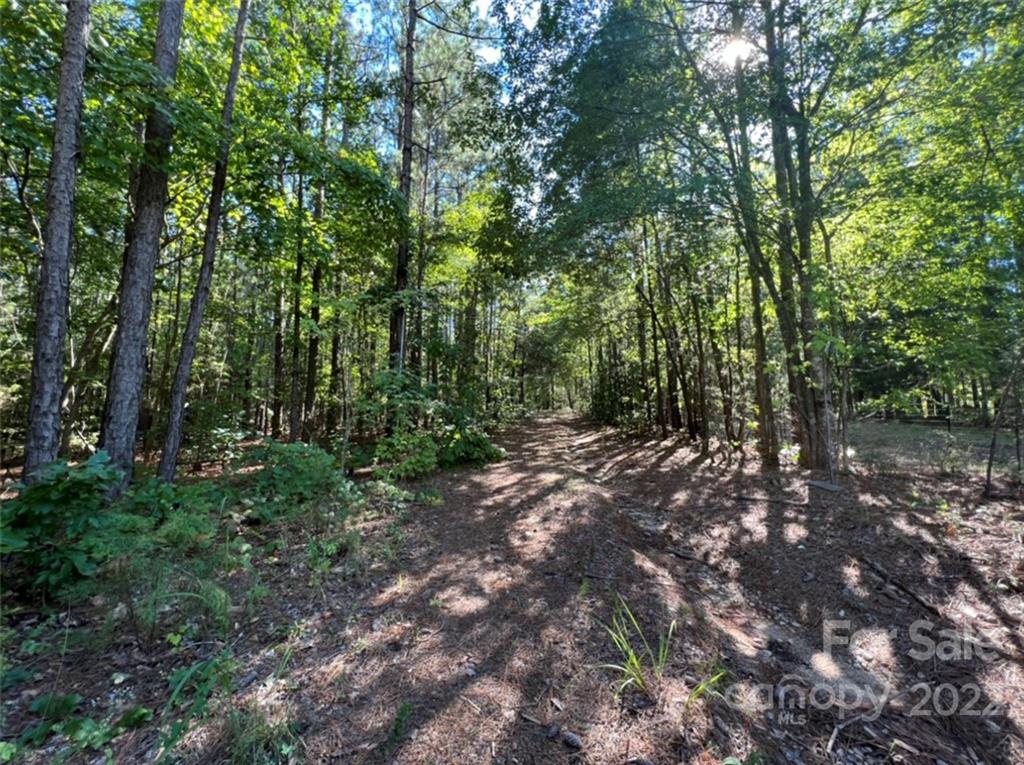 1676 Madison Road Chester, SC 29706 - Photo 4 of 5 a view of a forest with trees in the background