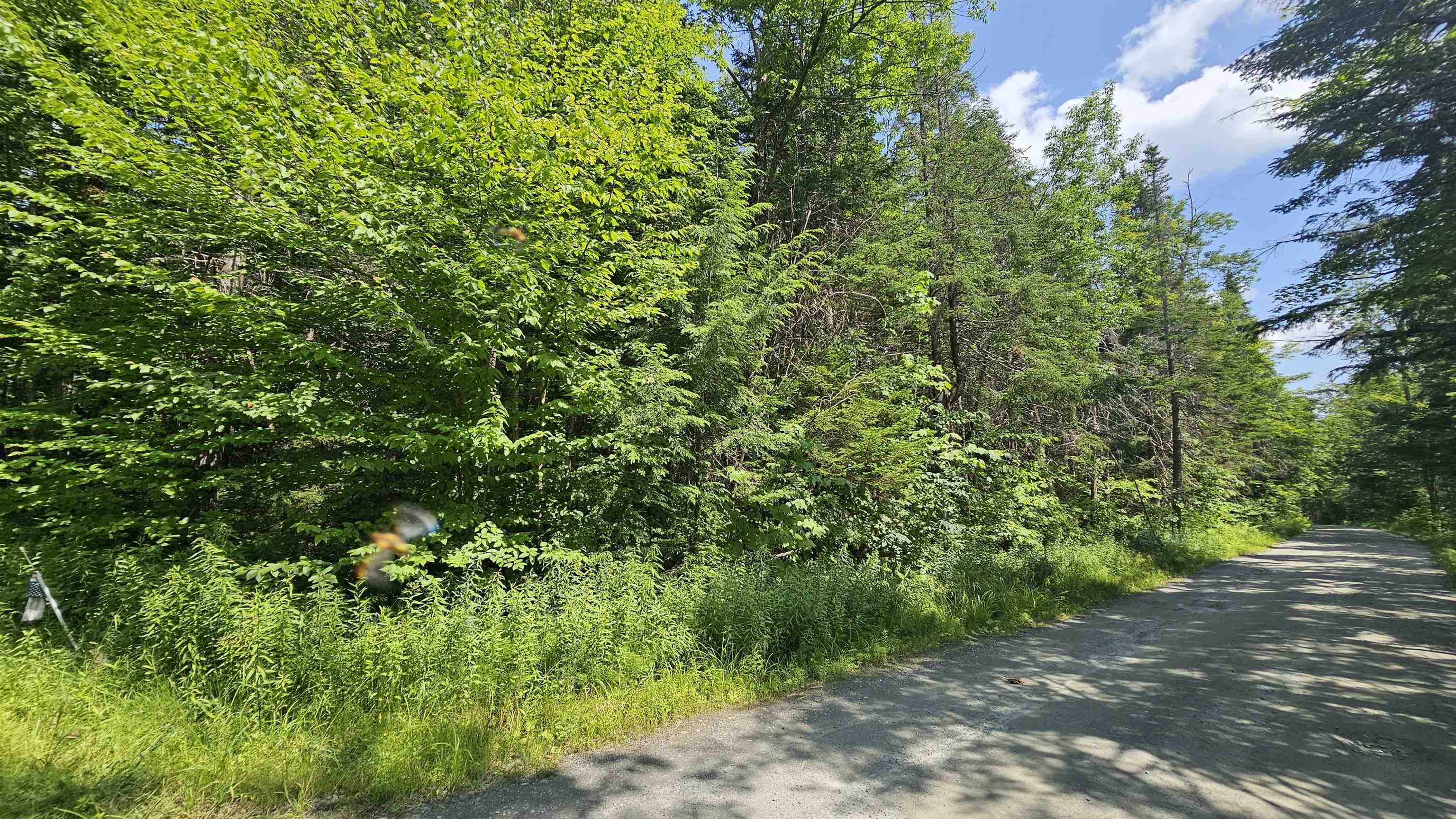 1718 Brown Schoolhouse Road Reading, VT 05062 - Photo 3 of 7