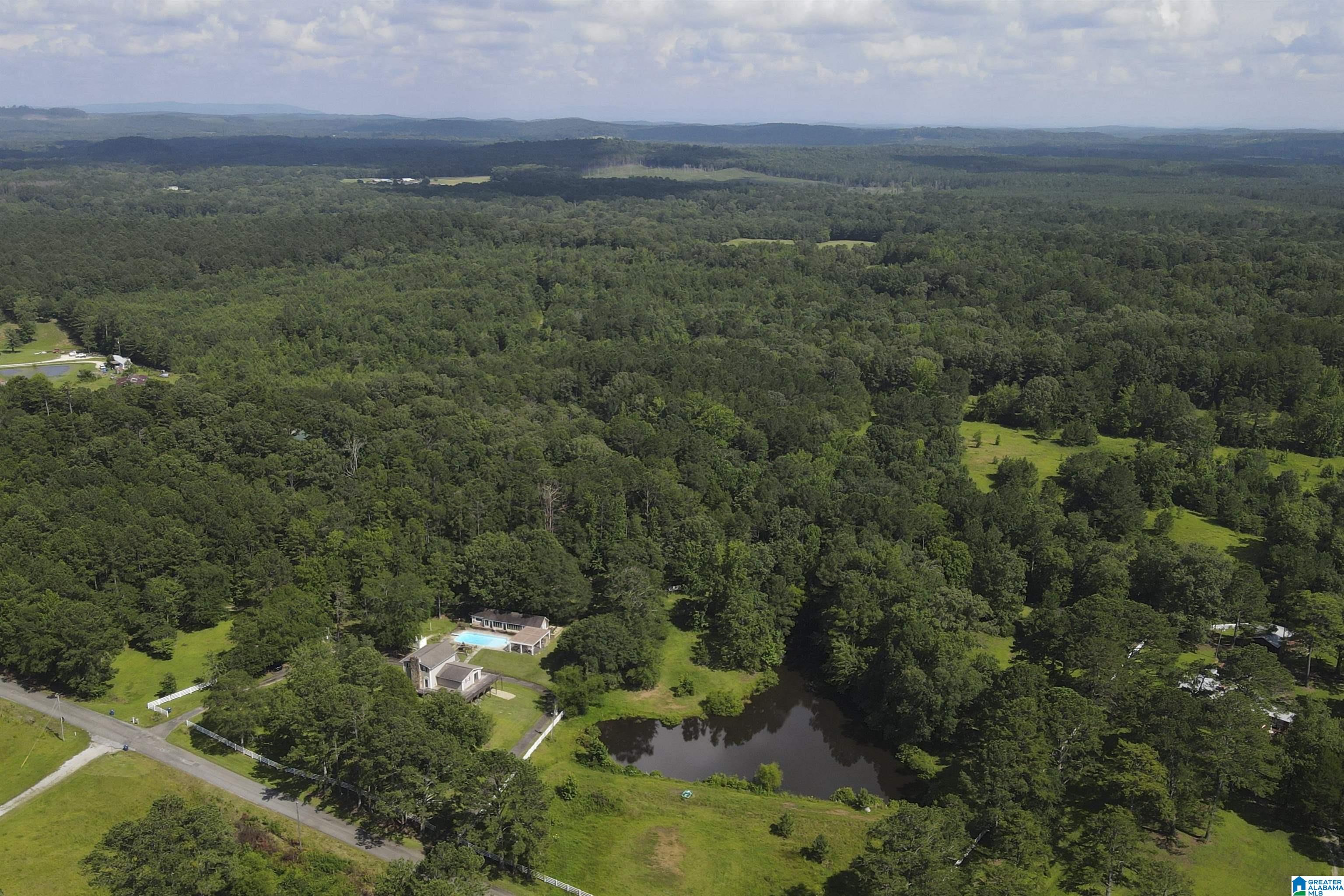 3370 Kirkseys Bend Ohatchee, AL 36271 - Photo 51 of 92