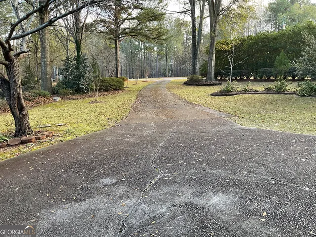 a view of a yard with a tree