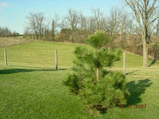 9683 T R 166 West Liberty, OH 43357 - Photo 8 of 8