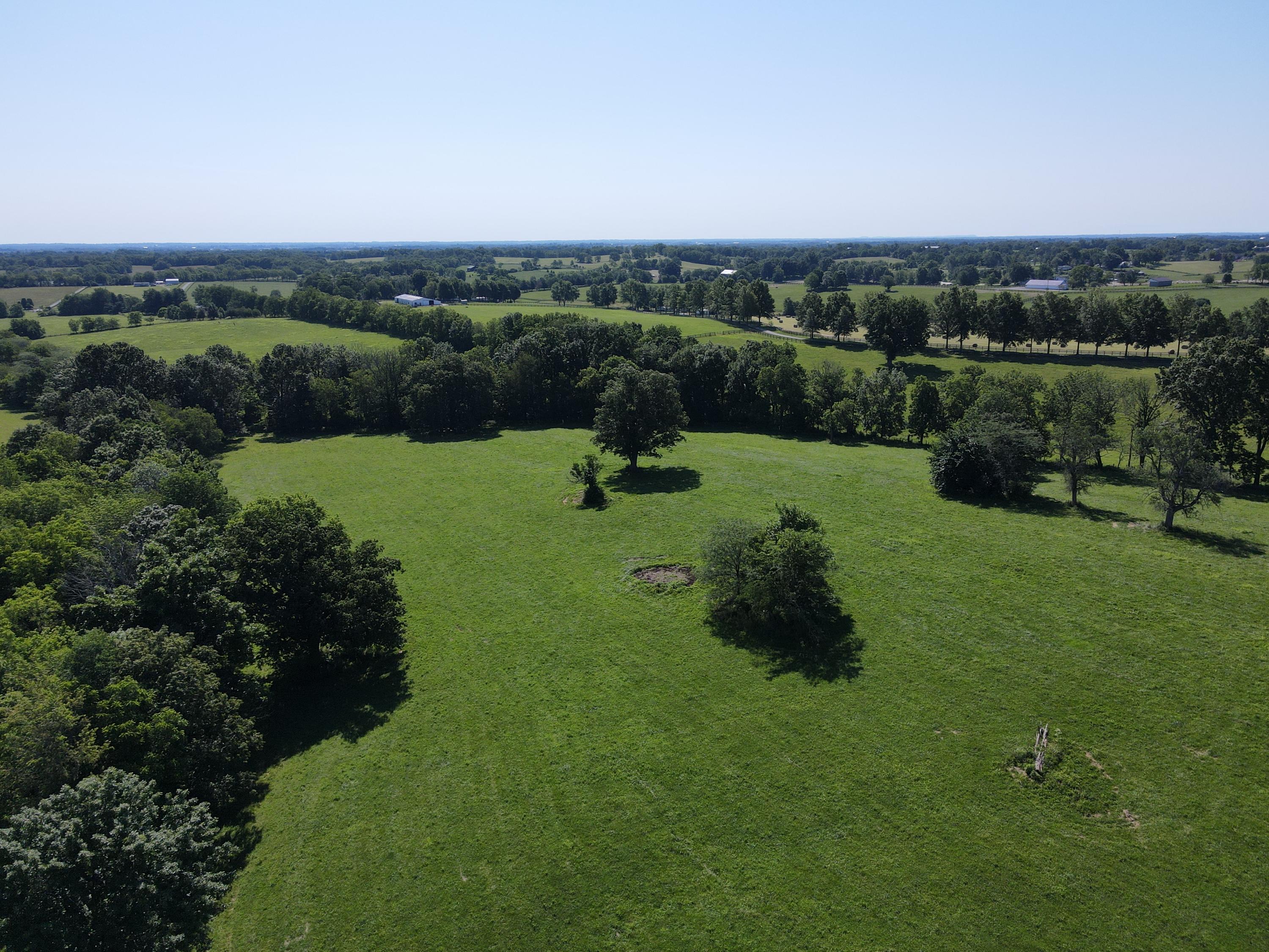 1580 Clintonville Road Paris, KY 40361 - Photo 11 of 13 DJI_0370