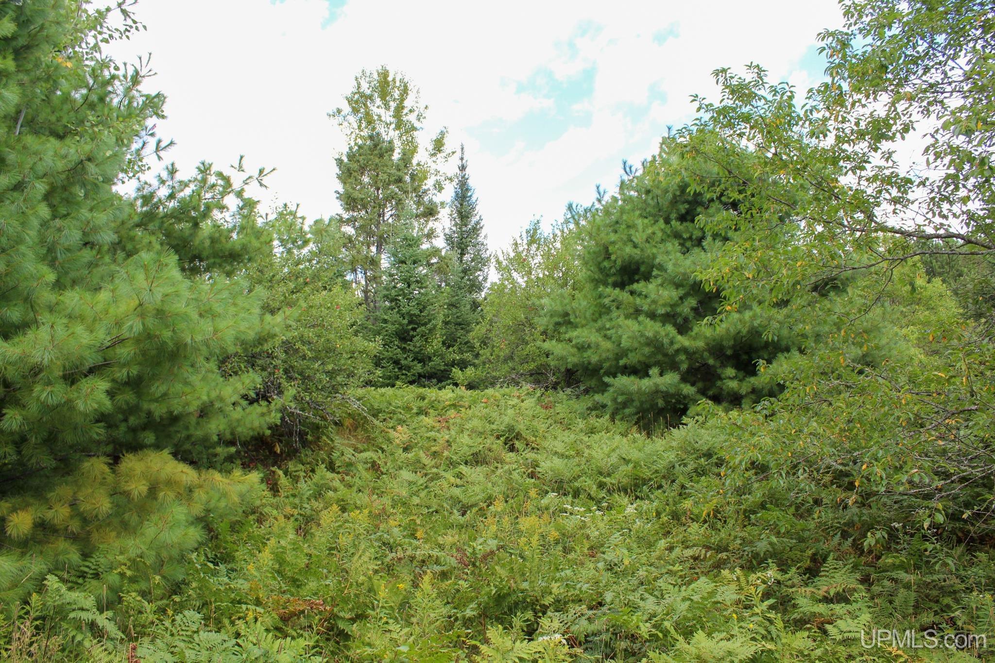 Tbd Michaelson Road Pelkie, MI 49958 - Photo 52 of 73 Gallery Image 52
