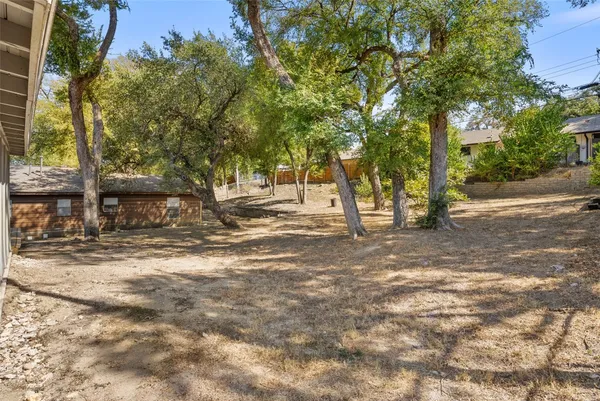 a view of a yard with plants and trees