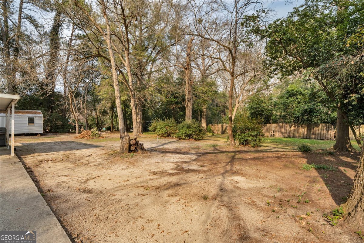 425 3rd Street Vienna, GA 31092 - Photo 29 of 40 a view of yard with tree