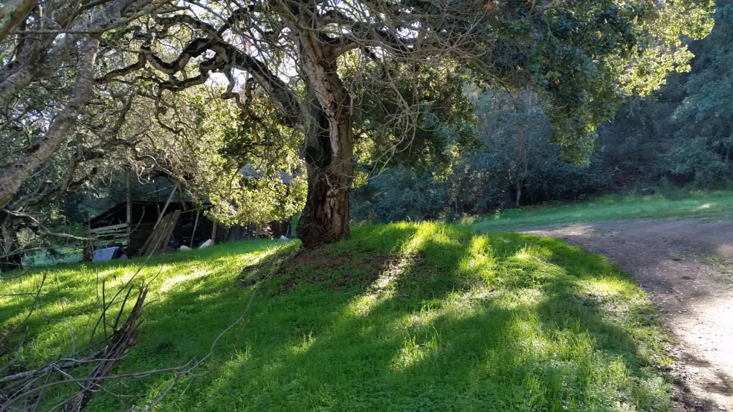 0 River Road Soledad, CA 93960 - Photo 13 of 39 Gallery Image 13