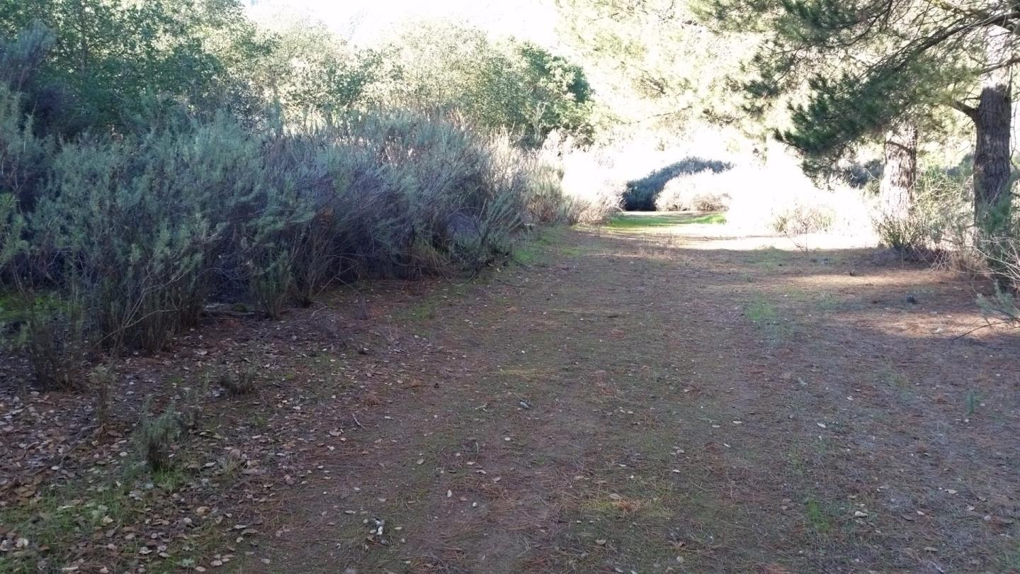 0 River Road Soledad, CA 93960 - Photo 21 of 39 Gallery Image 21