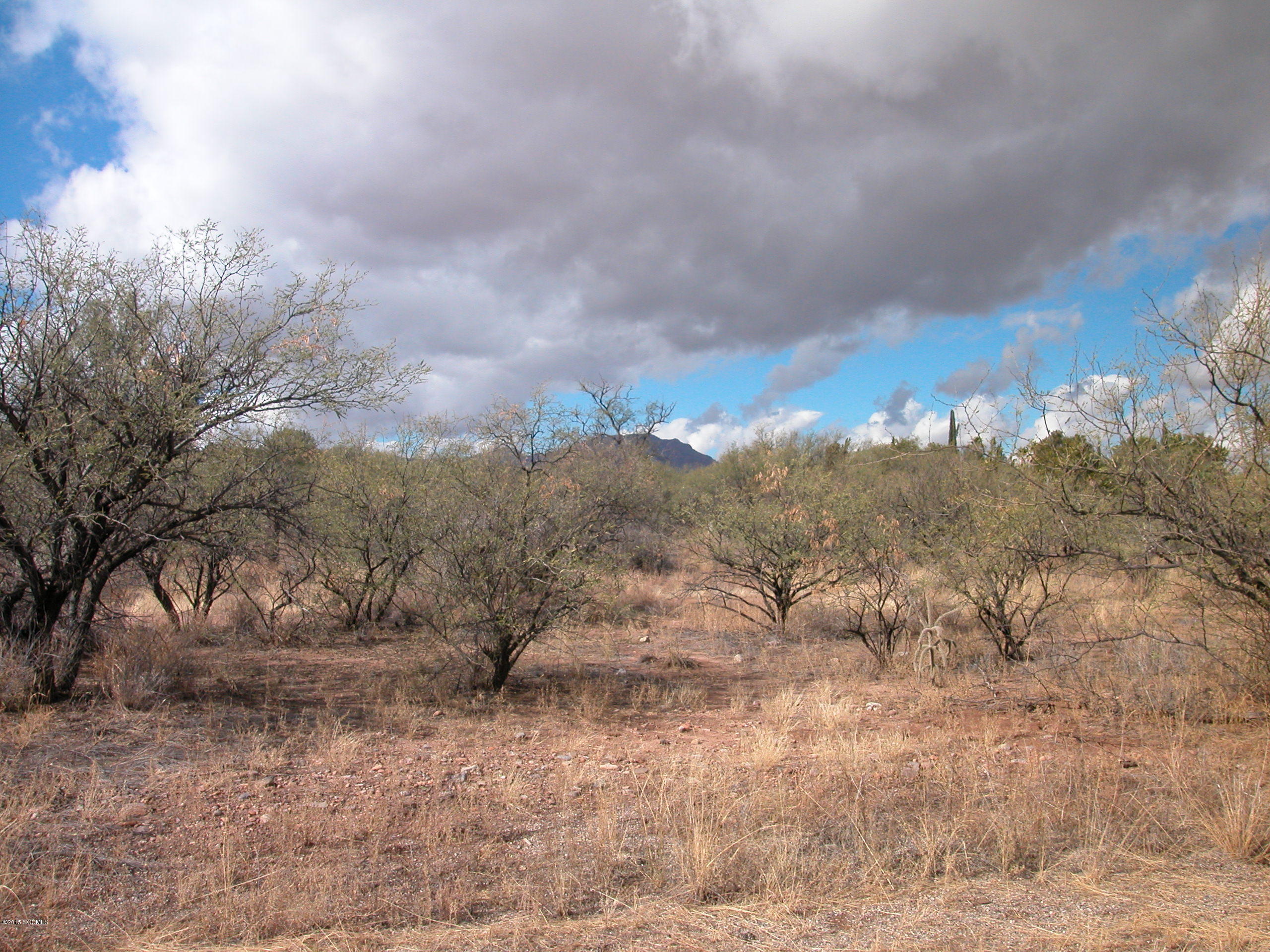 Tbd Court Libre Tubac, AZ 85646 - Photo 1 of 1