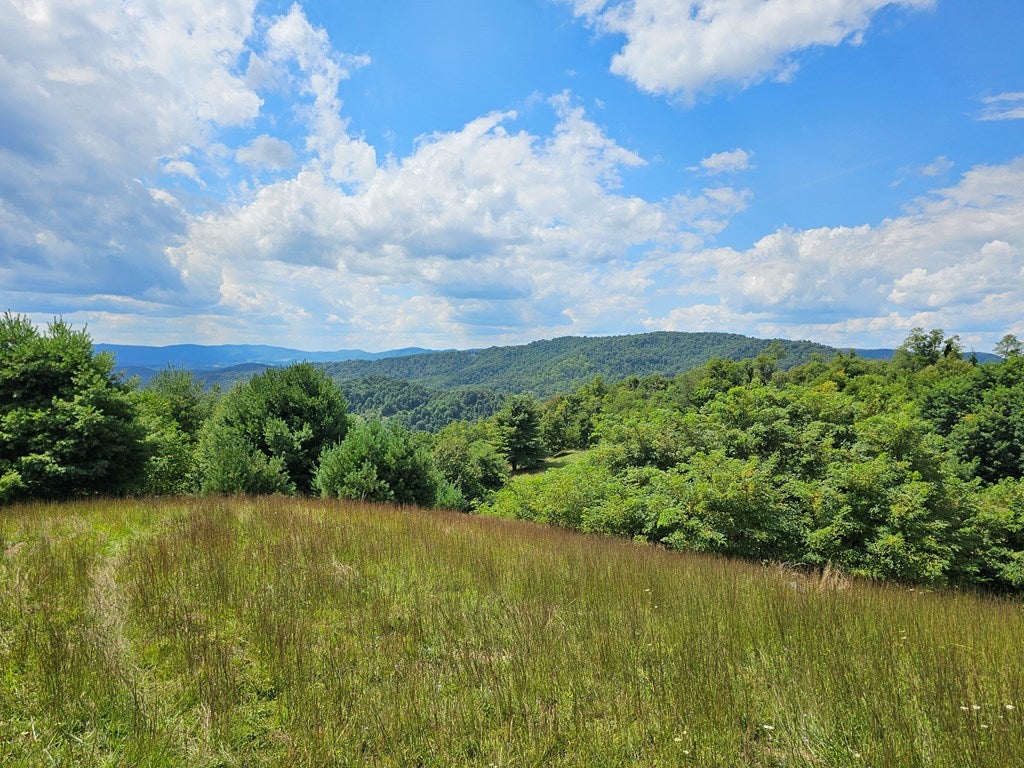 1072 Briar Patch Mountain Road, Unit 3 Fries, VA 24330 - Photo 4 of 25 Gallery Image 4