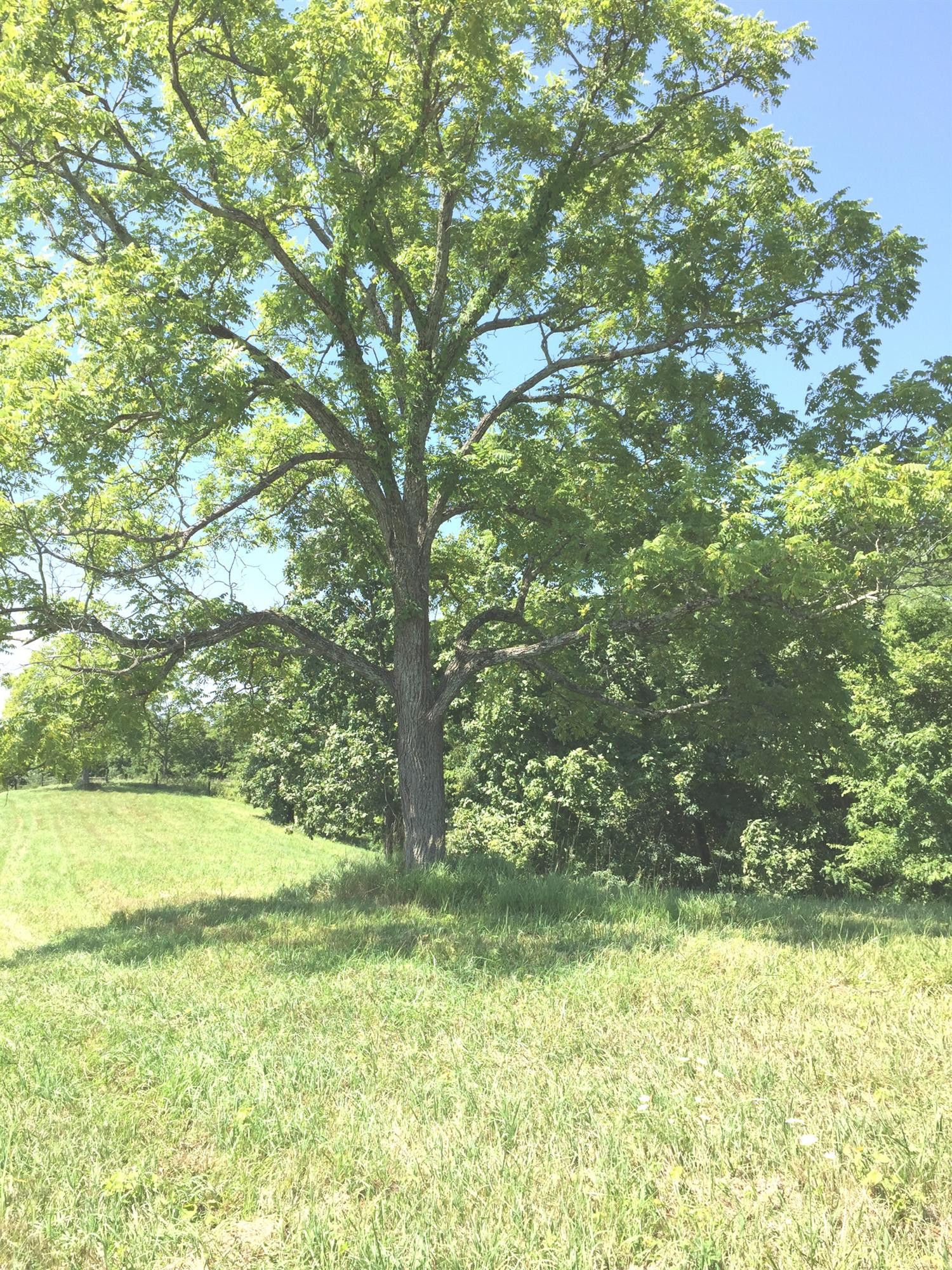 506 Double Culvert Road Georgetown, KY 40324 - Photo 25 of 44 Photo 25