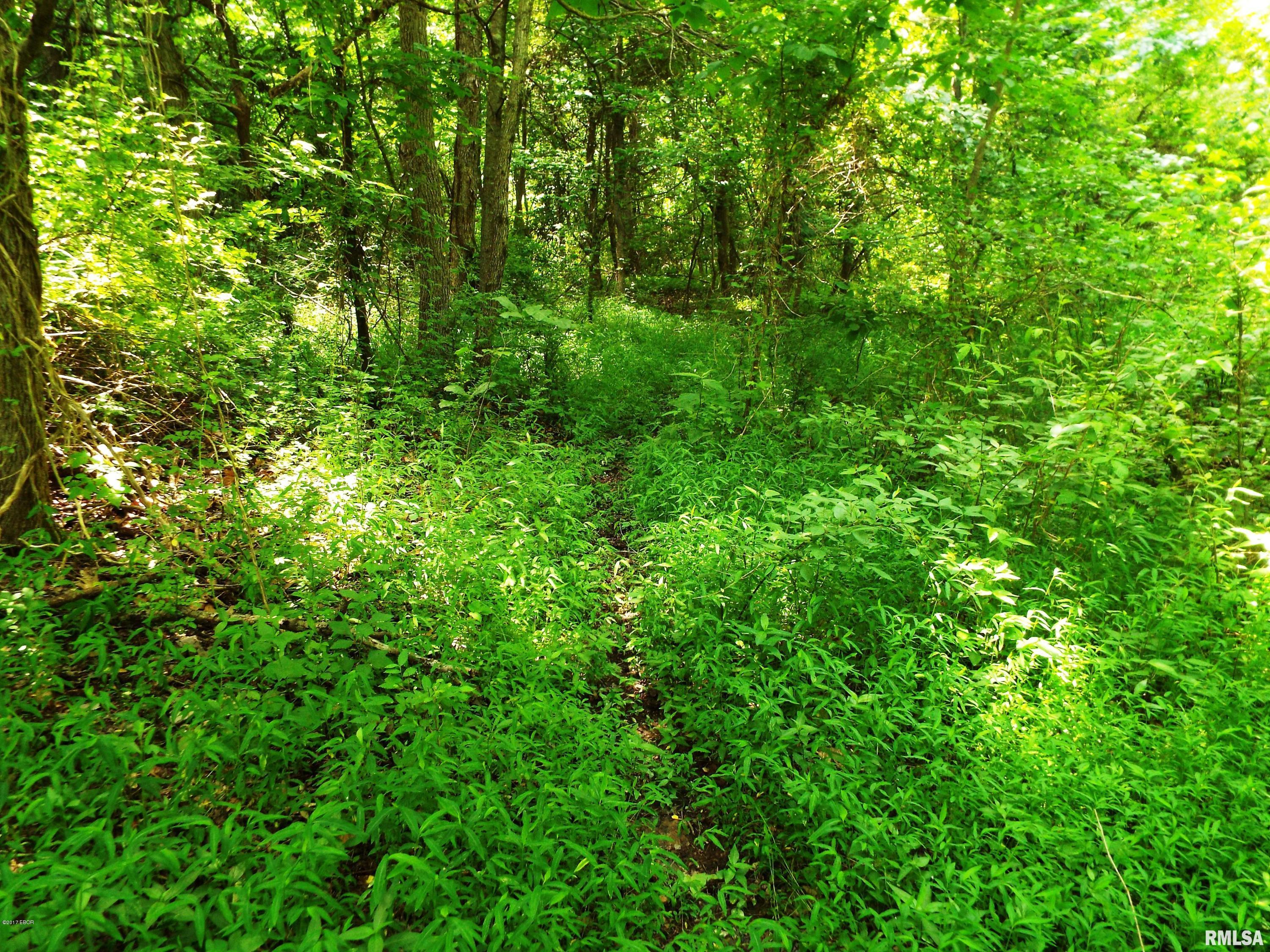 45 South US 45 Road Metropolis, IL 62960 - Photo 4 of 6