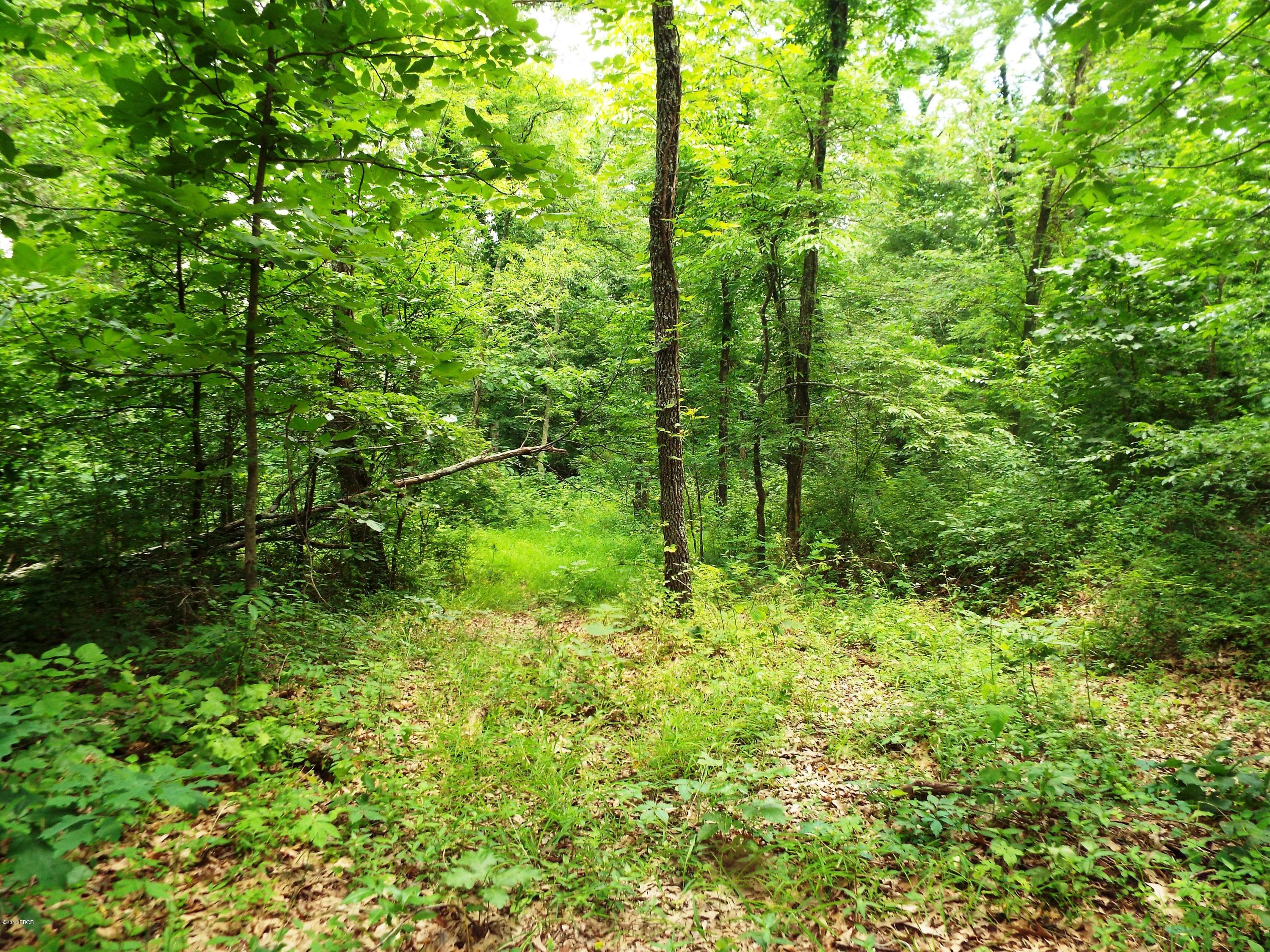 45 South US 45 Road Metropolis, IL 62960 - Photo 6 of 6