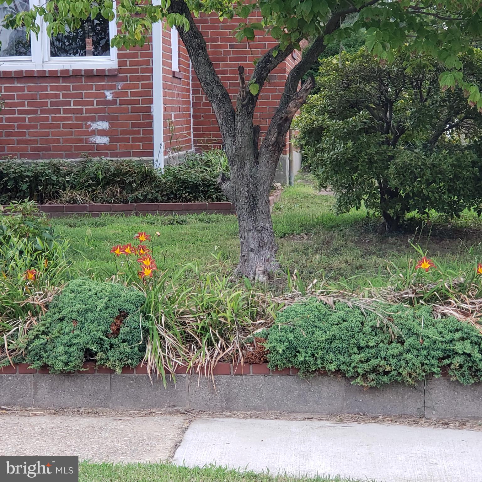 2000 Ormand Road Baltimore, MD 21222 - Photo 42 of 49 Lots of landscaping too!
