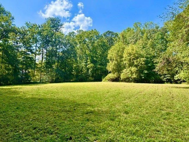15575 Thompson Road Alpharetta, GA 30004 - Photo 4 of 15