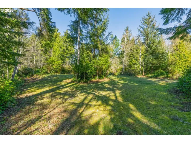 a view of yard with green space