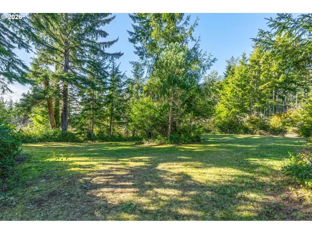a view of a grassy field with trees in the background