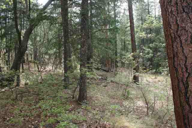 Cr 2072 Alpine, AZ 85920 - Photo 5 of 5