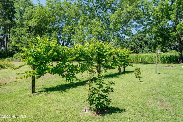 $359,000 | 126 Henry Middleton Road, Warsaw, NC 28398