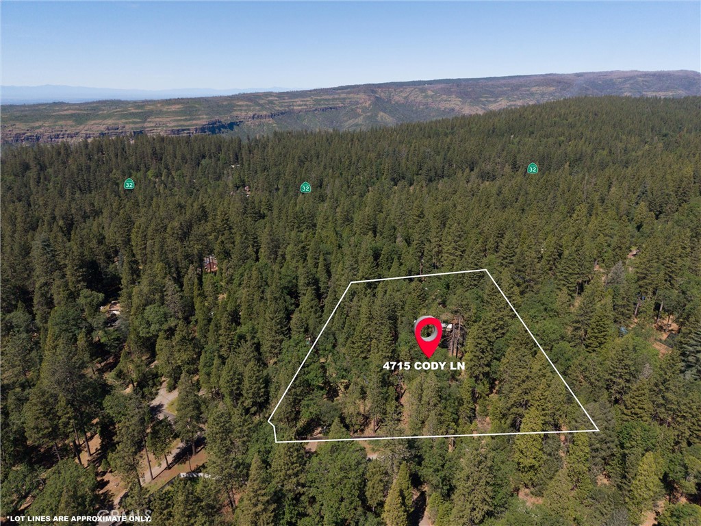 4715 Cody Lane Forest Ranch, CA 95942 - Photo 7 of 75