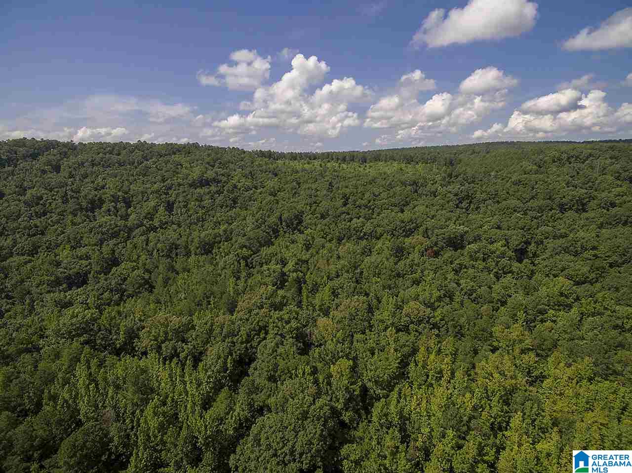 3330 Highway 174 Springville, AL 35146 - Photo 19 of 21