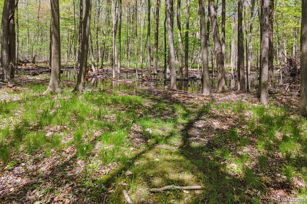 7300 West Sober Road Fowlerville, MI 48836 - Photo 49 of 59