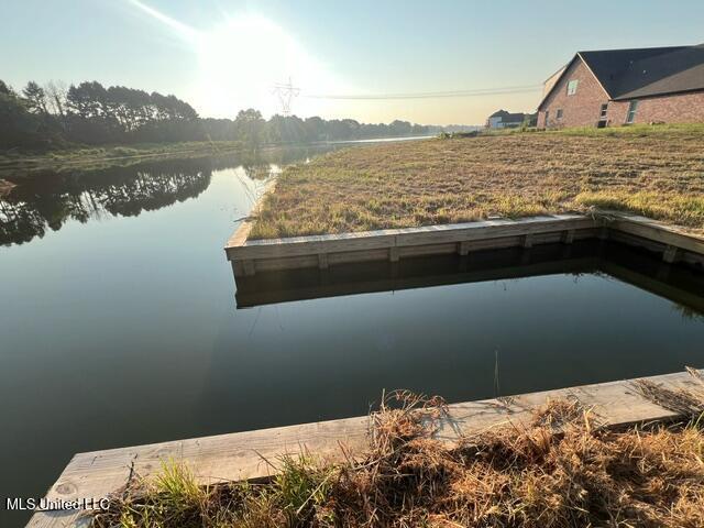 102 Harbour Landing Madison, MS 39110 - Photo 7 of 9 image4