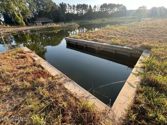 102 Harbour Landing Madison, MS 39110 - Photo 8 of 9 image5