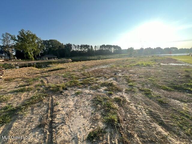 102 Harbour Landing Madison, MS 39110 - Photo 9 of 9 image6