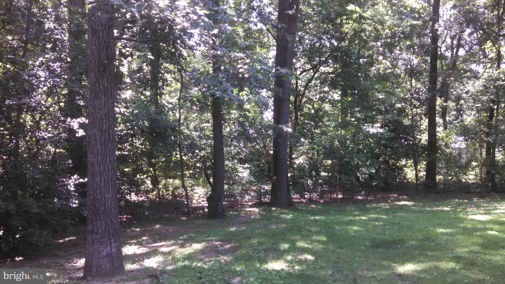 2770 Meadowbrook Road Federalsburg, MD 21632 - Photo 4 of 15 View
