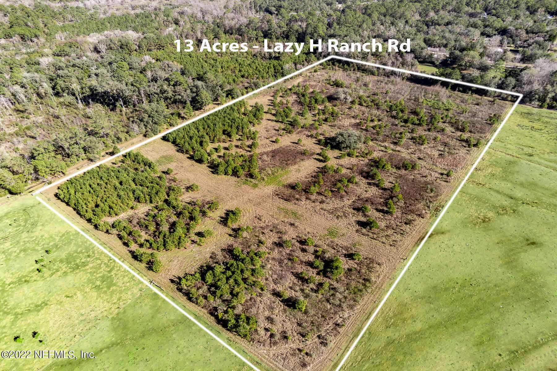 0 Lazy H Ranch Road Middleburg, FL 32068 - Photo 1 of 7 Looking North East