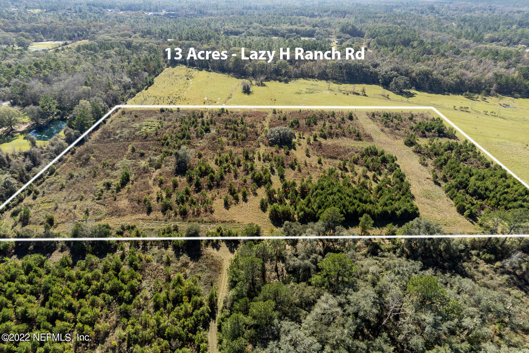 0 Lazy H Ranch Road Middleburg, FL 32068 - Photo 2 of 7 Looking South