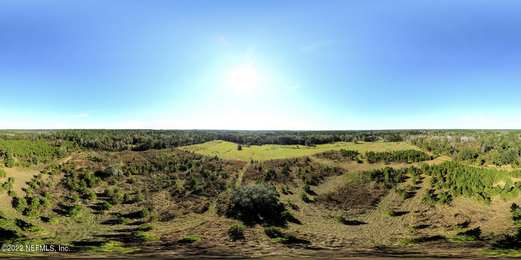 0 Lazy H Ranch Road Middleburg, FL 32068 - Photo 4 of 7 Lazy H Rance 360 Sphere a